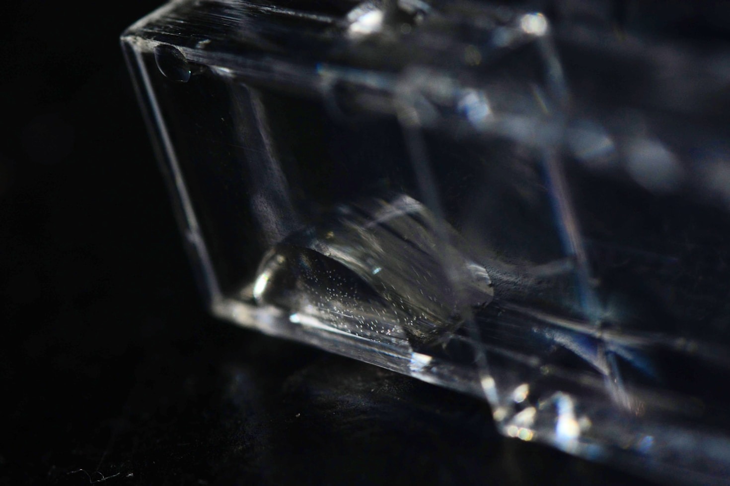 The Future Of Sustainable Polymer Research